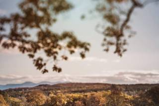 Farmhouse Floral Designs & Events - 76