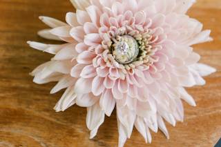 Monica Lam Photography - 55