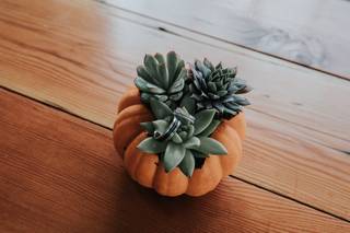 Bailey Batishev Photography - 73