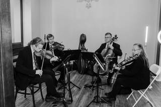 Landolfi String Quartet and Ensemble - 9