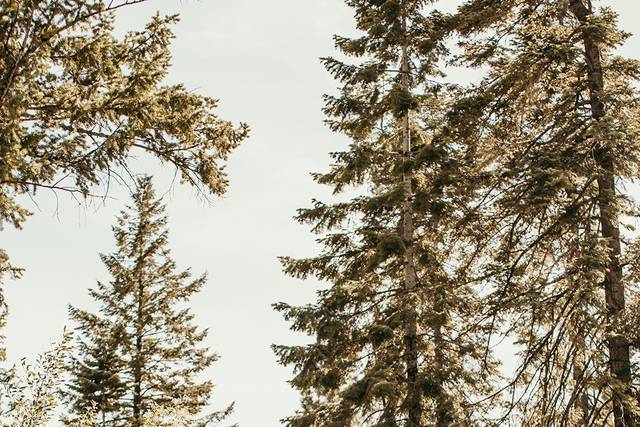 Tamarack Resort 1