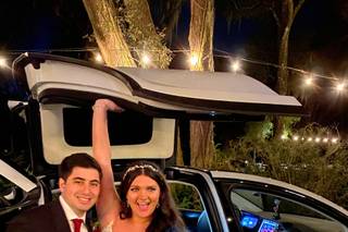 Tesla Limousine Service of Orlando - 24