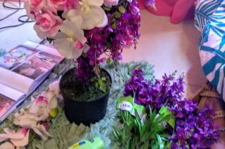 Tropic all Blooms n' More - 69