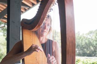 Kim Perkins Charleston Harpist 5