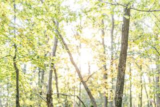 Matt Genders Photography - 6