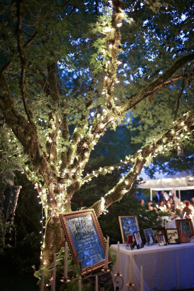 Andi Watkins Photography - 2