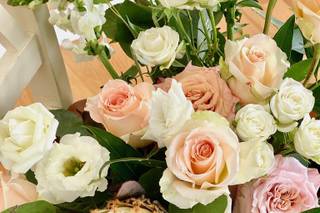 Sugar Snap Events - 15