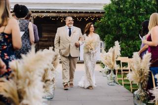 Alex Medvick Photography - 8