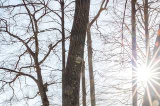 Caitlin Miller Photography - 16
