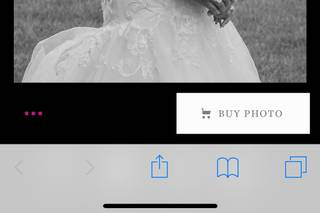 All Occasion Photography - 25
