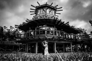 Photo Harp Weddings - 92