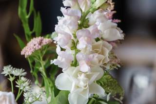 Folls' Flowers - 92