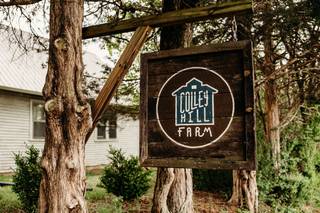 Colley Hill Farm - 11