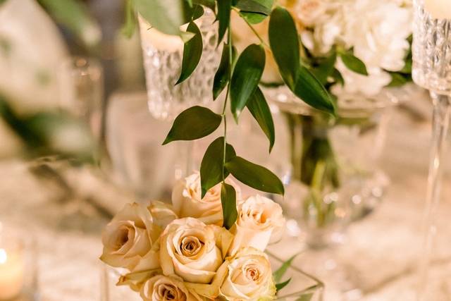 Acanthus Event Design 4