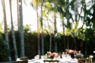 Aura Elizabeth Photography - 13