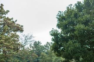 Bretton Woods Recreation Center - 14