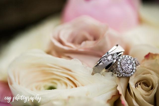 CAG Photography - 4