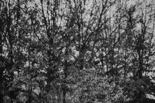 Abby Jean Photography - 14