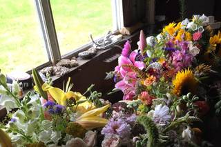 Art Farm Flowers - 18