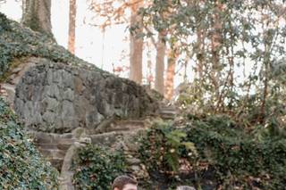 Mira Photographs - 42