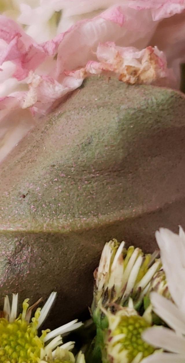 Park Square Florist - 4