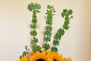 Natural Florals by Sarah Graham - 27