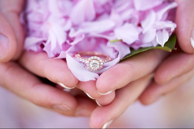 Philip Andrews Photography LLC - 1