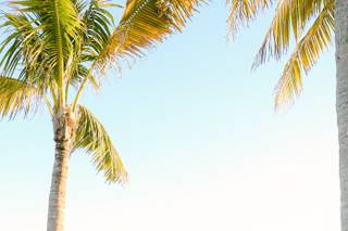 Isla Bella Beach Resort - 6