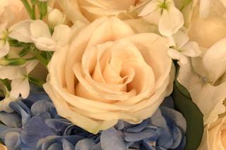 Flowers by Angie - 95