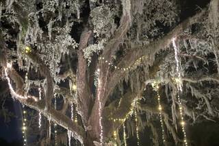 Elegant Touch Creative Events LLC - 57