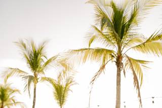 Amore Paraiso Weddings - 41