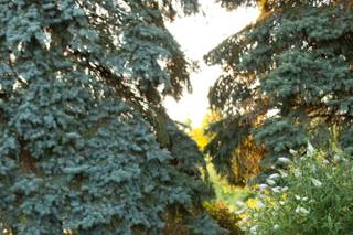 Rob Hickey Photography - 42
