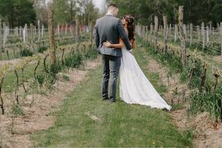 Red Maple Vineyard - 40