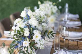 Dianthus Miami Inc. - 7