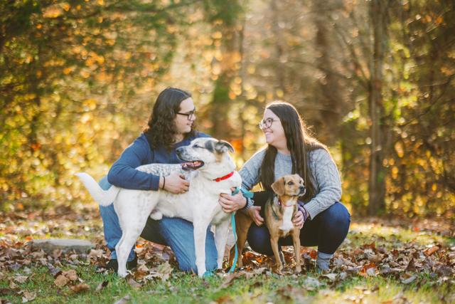 Greg Thomas Photography - 4