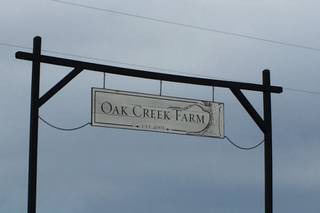 Oak Creek Farm - 49