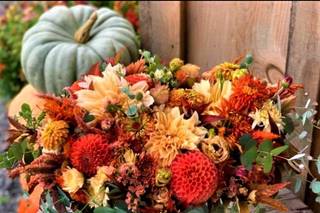 Jayflora Designs - 11