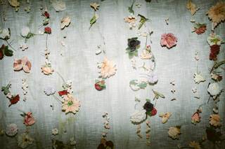 Daydream Floral - 36