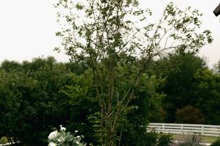 Blue Hill Farm B&B - 22