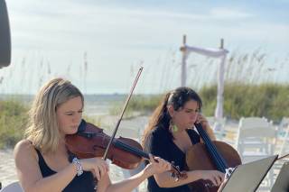 Jade Strings - 14