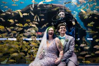 Matthew Druin & Co. Photography - 15