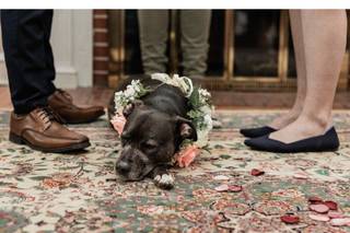 Madison Wilson Photography - 20