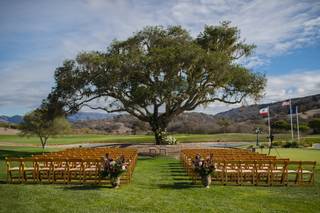 Amy West Floral Design - 10