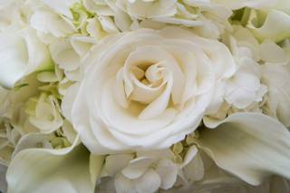 Love Blooms Wedding and Event Design - 105