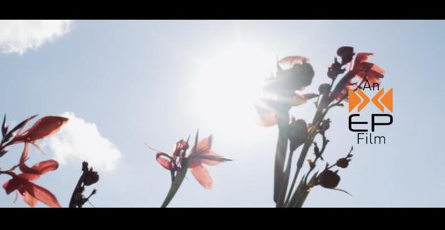 EP Films - 1