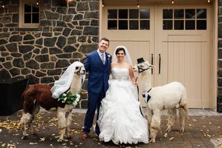 Whist Weddings - 13