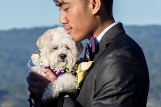 Heidi Borgia Photography - 82