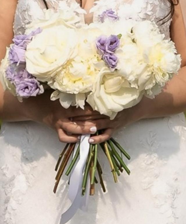 Sydney Smith Designs - 2