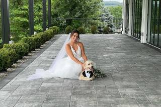 Wedding Puptials - 20