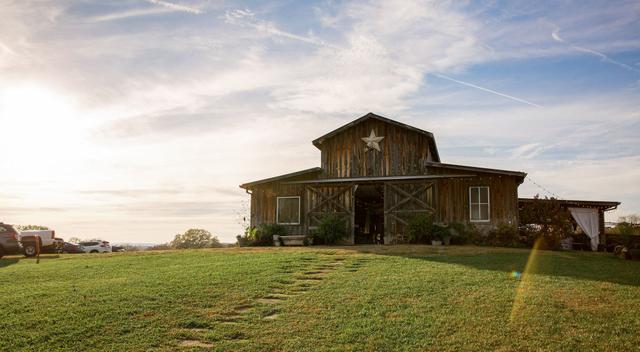 The Barn at Drewia Hill - 3